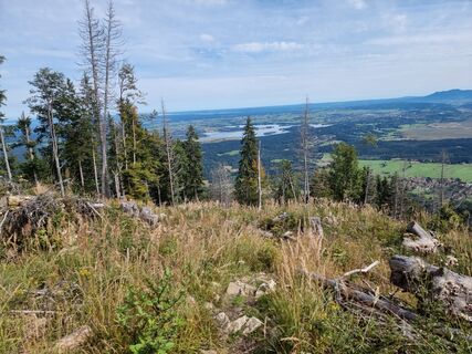 Fotografie z Felix na trase