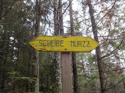 Große Scheibe