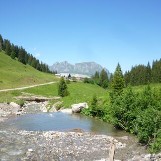 Alp Kohlschlag