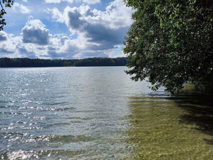 Rundweg Großer Zechliner See
