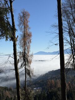Foto von Cornelia Egger entlang der Tour