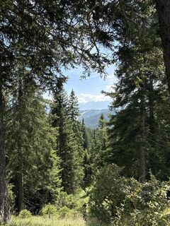 Foto von Robert W. 2 entlang der Tour