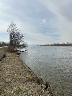 Photo de Babs Holz le long du parcours