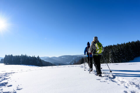 Wanderer auf verschneiter Wiese