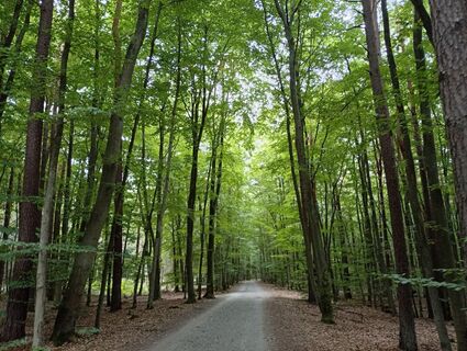 Fotografia z Agnieszkakrezo na trase