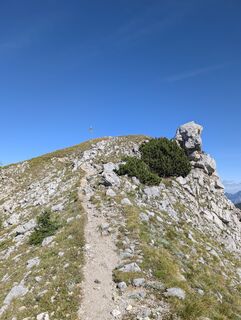 Photo de danistachi le long du parcours