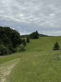 Foto von Alexander Micheli entlang der Tour