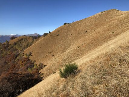 Photo from Gerardo Brunetti along the tour