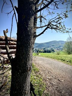 Fotografia z Kellner Heidi na trase