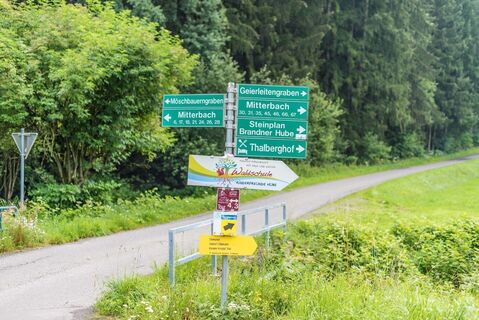 Links Möschbauerngraben