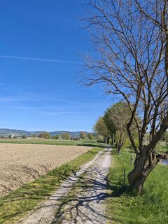 Foto von Franz Streimelweger entlang der Tour