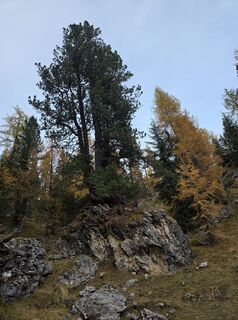 Foto von Mădălin entlang der Tour