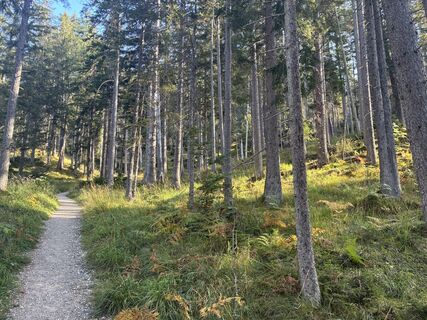 Foto de Kristijan Držaj a lo largo del recorrido