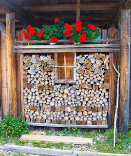 Alm hinterm Brunn