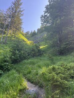 Foto von Julia Wimmer 4 entlang der Tour