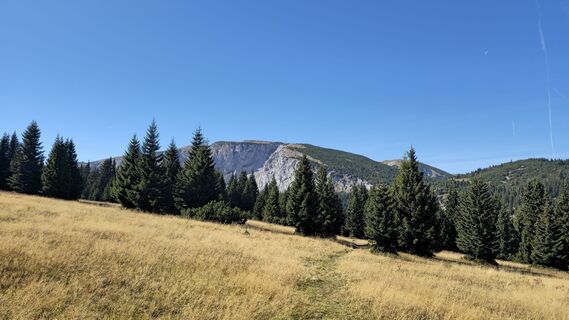 Photo de Hana Havlásková le long du parcours