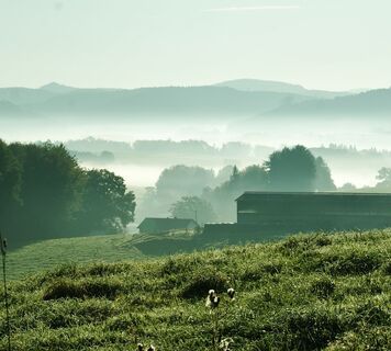 Val de Vologne