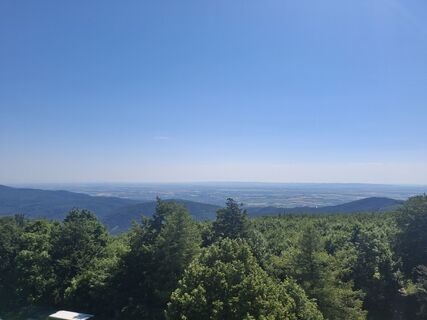 Foto von Eurelia entlang der Tour