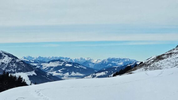 Lämmerbühelalm KB, Hagstein