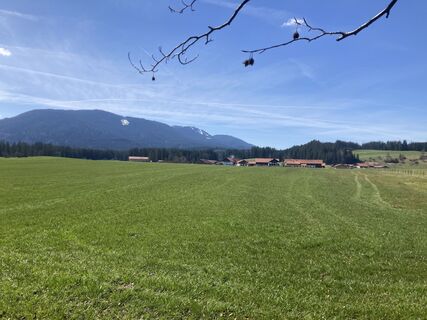 Foto von Diff Heinrich entlang der Tour