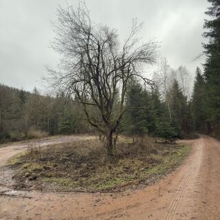Foto de Steffen Kiesel a lo largo del recorrido