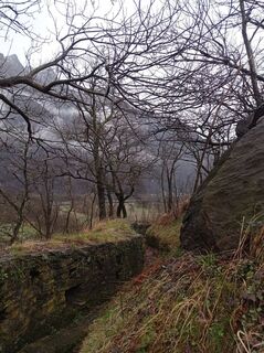 Photo de Aner le long du parcours