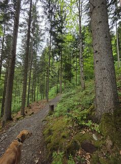 Fotografia z Carlo Ospelt (Wuffenstein) na trase