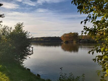 Harter Teich in der Oststeiermark