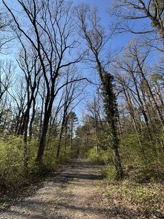 Foto de RS76 a lo largo del recorrido