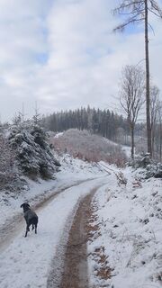 Fotografia z Pur Alexander na trase