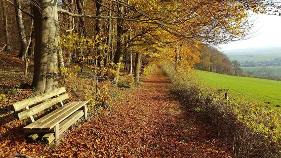 Herbst in Holzen