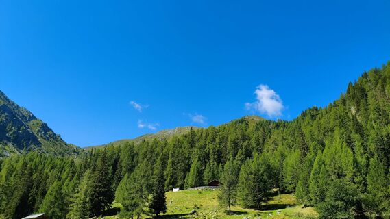 Photo de walrei le long du parcours