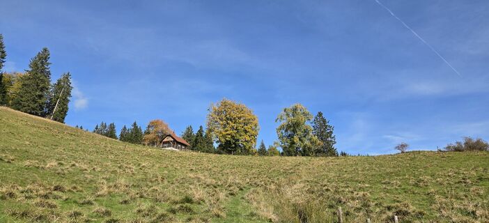 Photo de Nat Alia le long du parcours