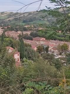 Photo de Brigitte Scheuffele le long du parcours