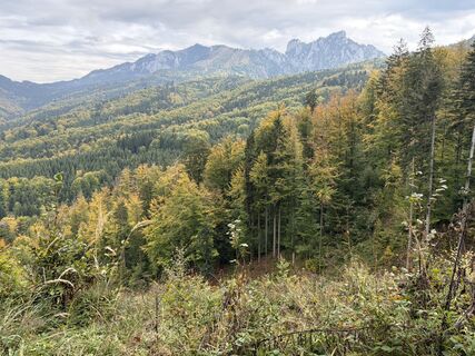 Photo de Martin Sicher le long du parcours