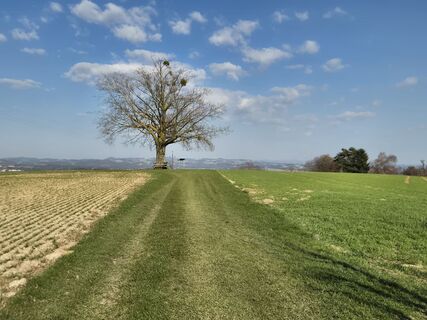 Fotografia z josef duermoser na trase