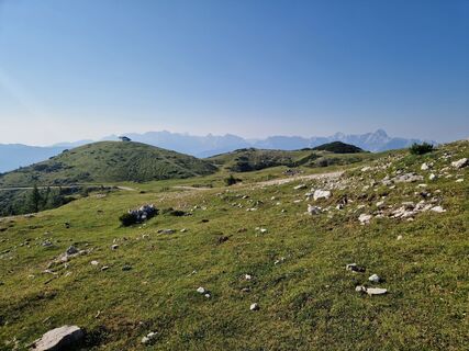 Fotografija s spletne strani Montfemme na poti