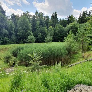 Biotopverbund-Runde Holzbronn - Regenüberlaufbecken