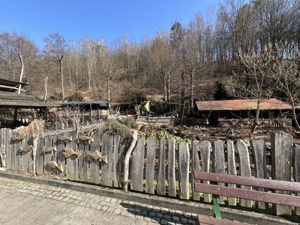 Fotografia z Bernd Zeuner na trase