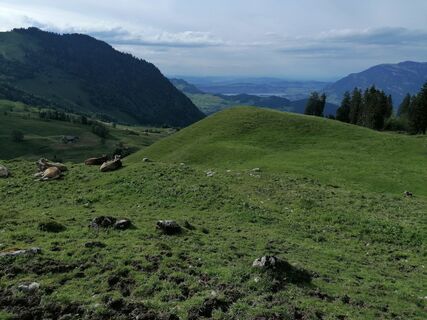 Foto fra luyyy undervejs på turen