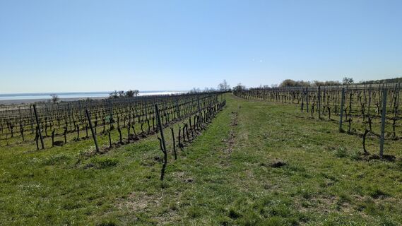 Fotografija s spletne strani Edero na poti