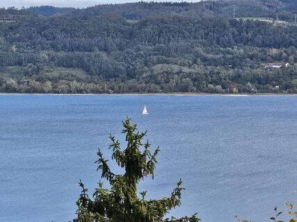 Fotografija s spletne strani gumbo oko na poti