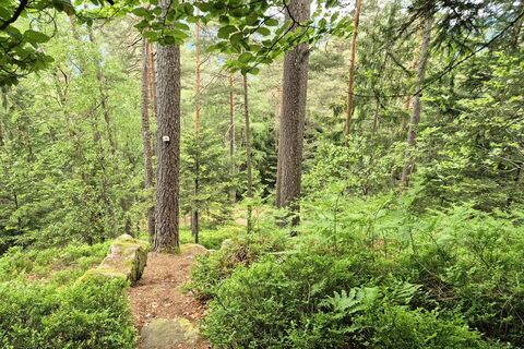 Auf dem Kinzigtalsteig über den Staufenkopf