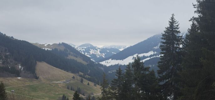Fotografija s spletne strani Oliver Cristea na poti
