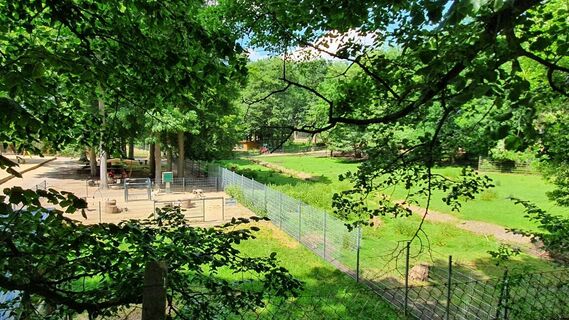 Tierpark in Klötze Altmark