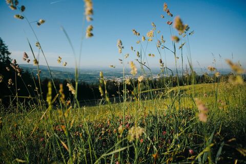 Herrliche Wanderung auf den Rosenkogel