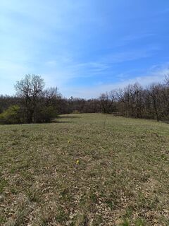 Foto de Julika Jármer a lo largo del recorrido