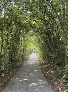 Photo de Moonytiger le long du parcours