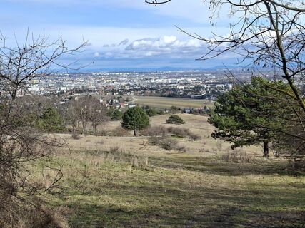 Foto von g_wehrberger entlang der Tour