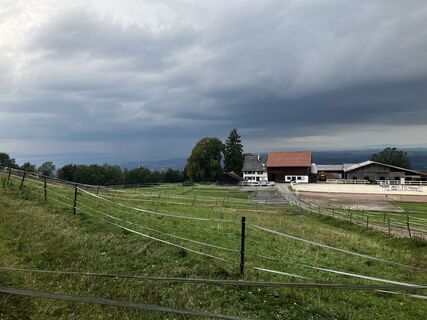 Photo de StefanX le long du parcours